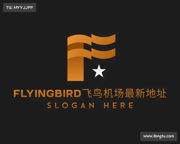了解flyingbird飞鸟机场最新地址